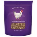 Pecking Order Mealworms F/Chickens 20Oz 009331